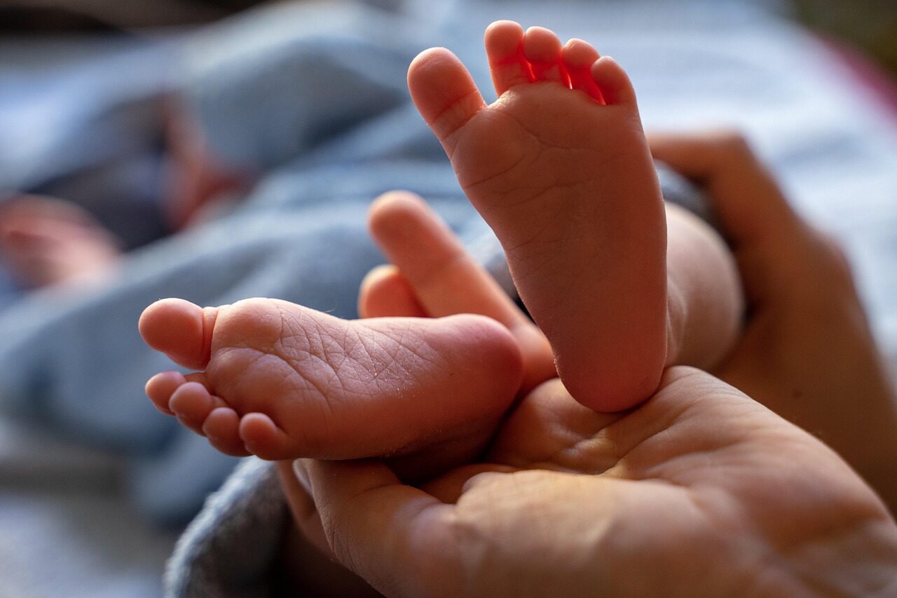 baby, newborn, baby feet, feet, small, barefoot, sweet, baby photography, children's feet, close up, infant, child, family, baby, baby, baby, baby feet, feet, family, family, family, family, family