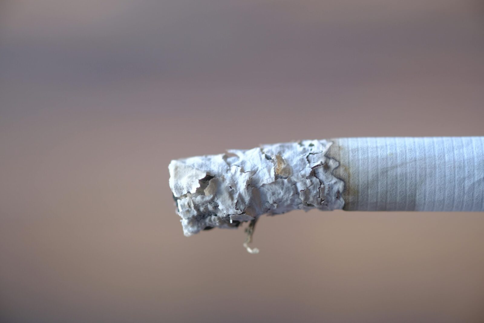Detailed close-up of a cigarette with ash, highlighting textures and patterns of burning tobacco.