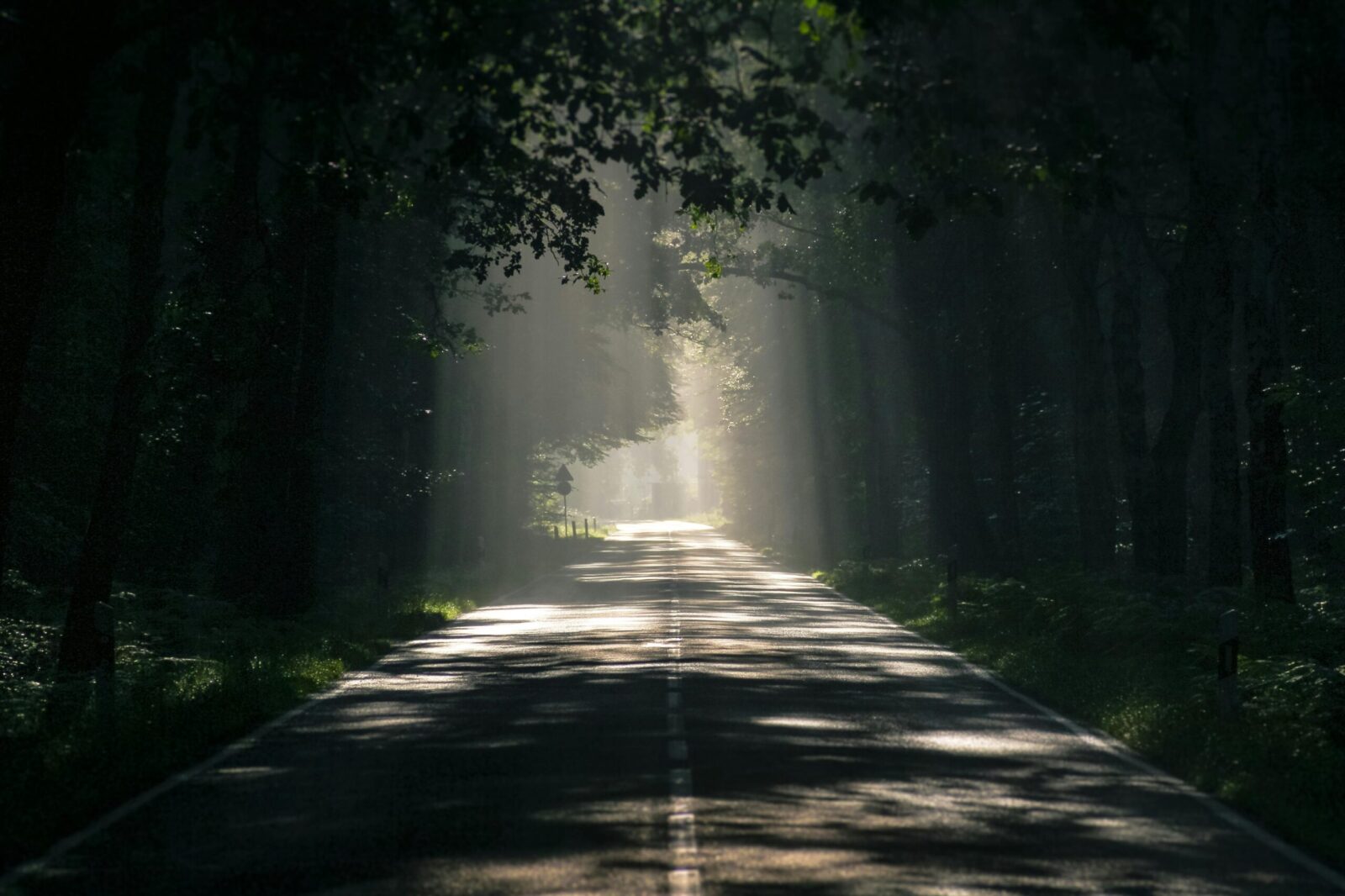 A scenic forest road illuminated by sunlight filtering through trees, evoking a serene atmosphere.