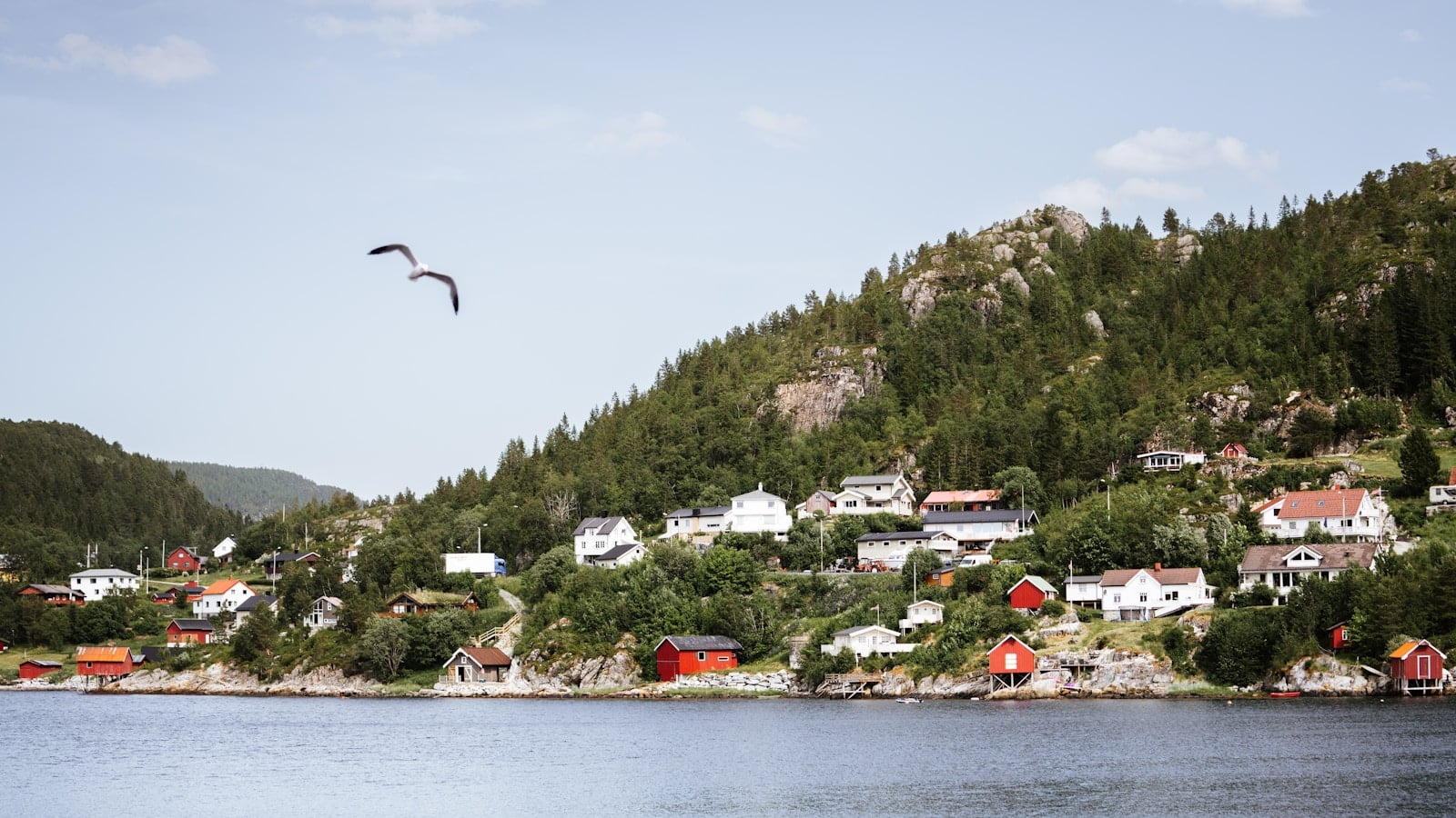 a bird flying over a small village on a hill